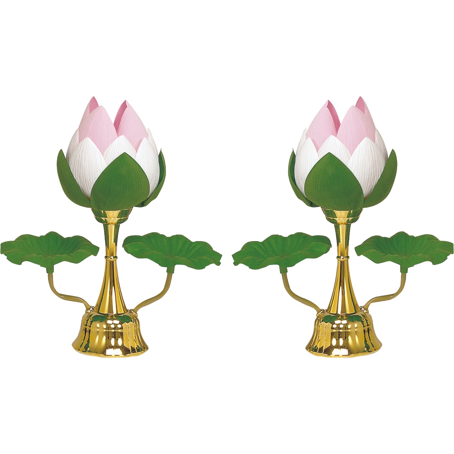 蓮華小ゴールド(一対)