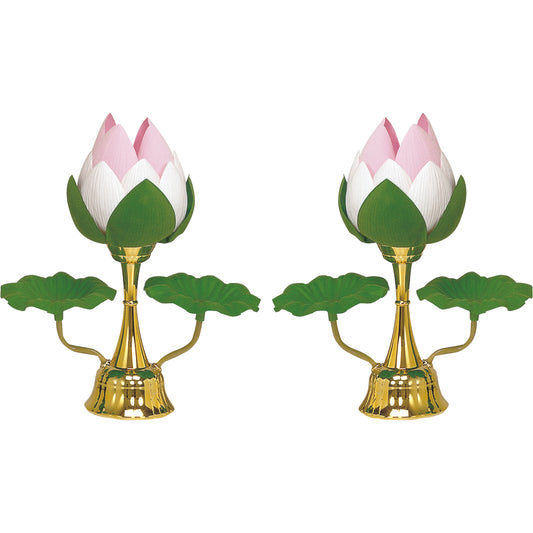 蓮華小ゴールド(一対)